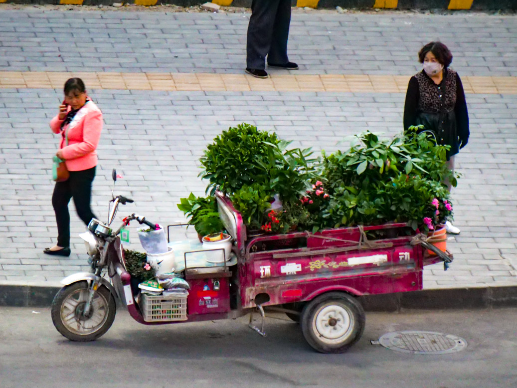 China, CHN, Gansu Sheng, Nanzha Dadui
