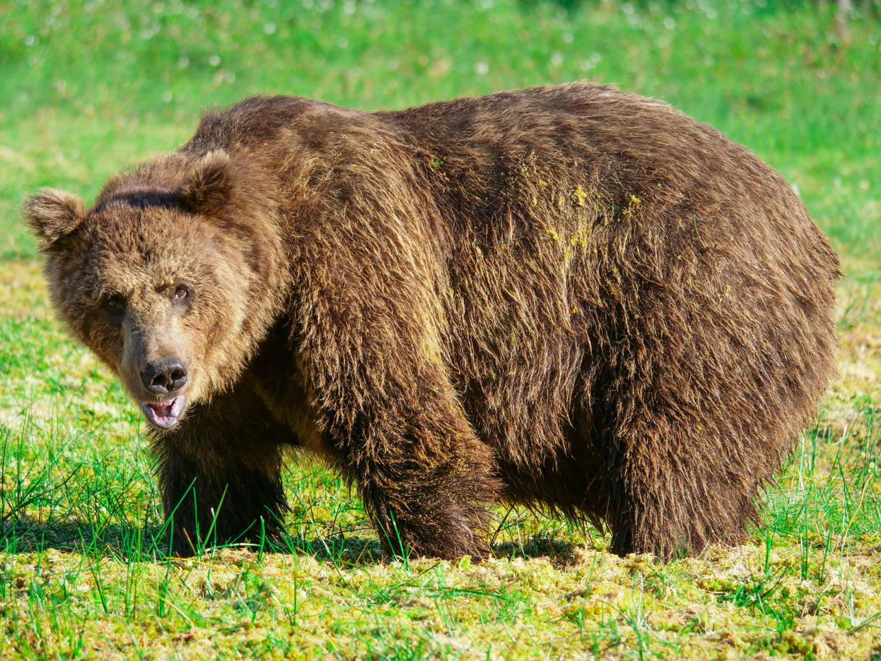 Martinselkonen Wilds Centre
