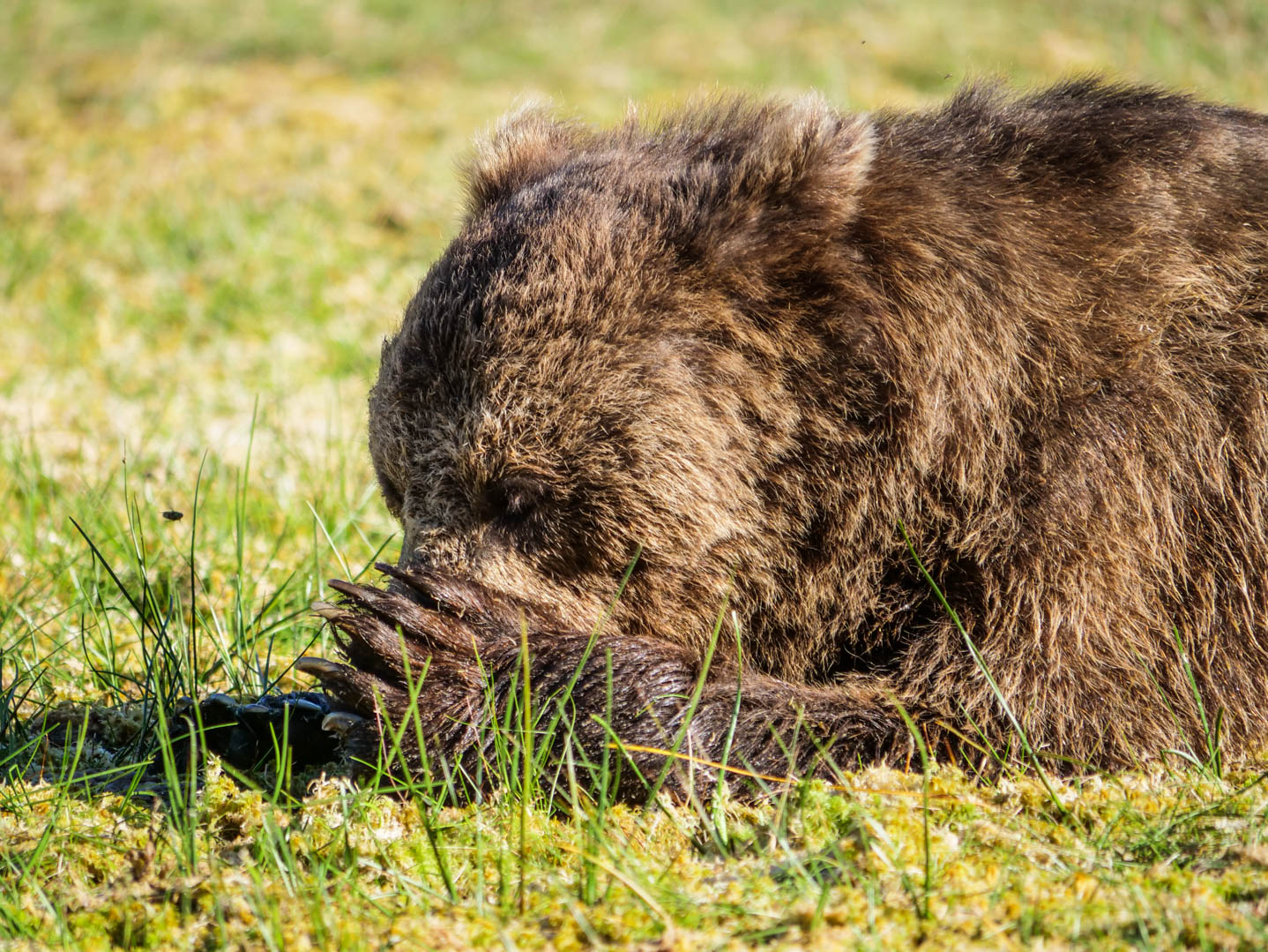Martinselkonen Wilds Centre