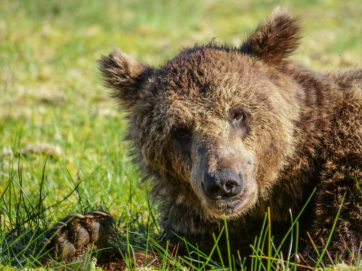 Martinselkonen Wilds Centre