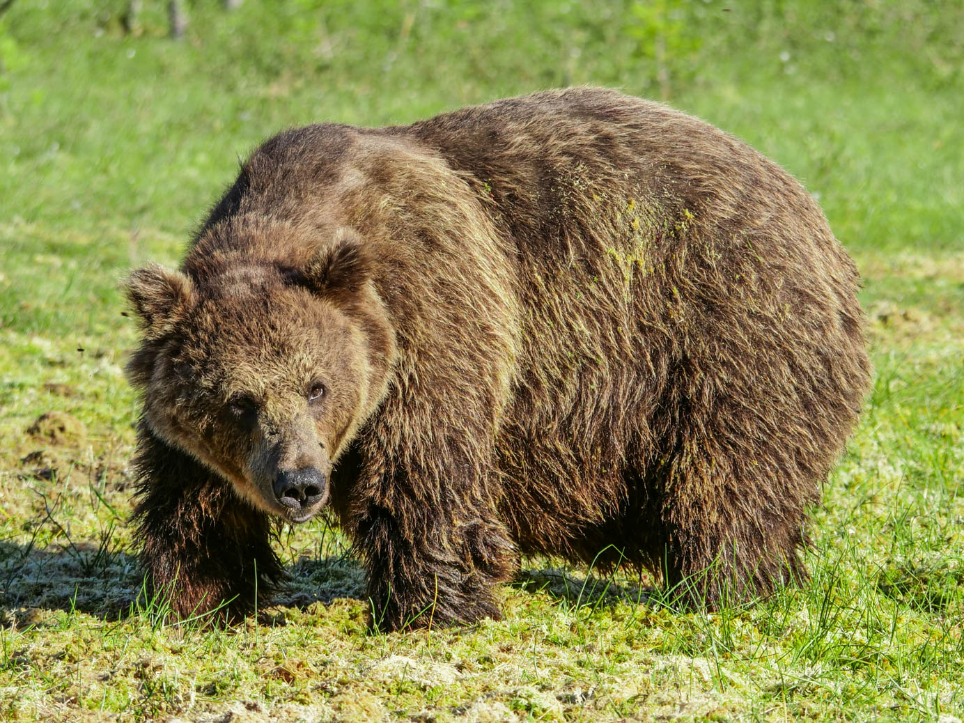 Martinselkonen Wilds Centre