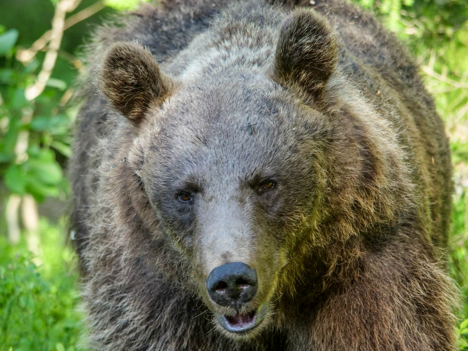 Martinselkonen Wilds Centre