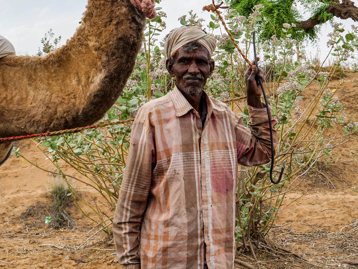 Rajasthan, Diloi South - Chandwa