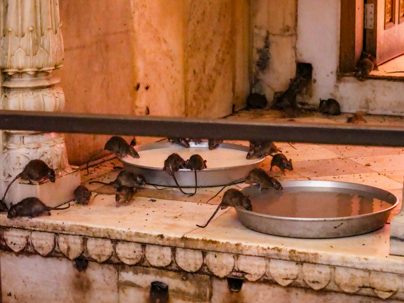 Rajasthan, Deshnoke - Deshnoke