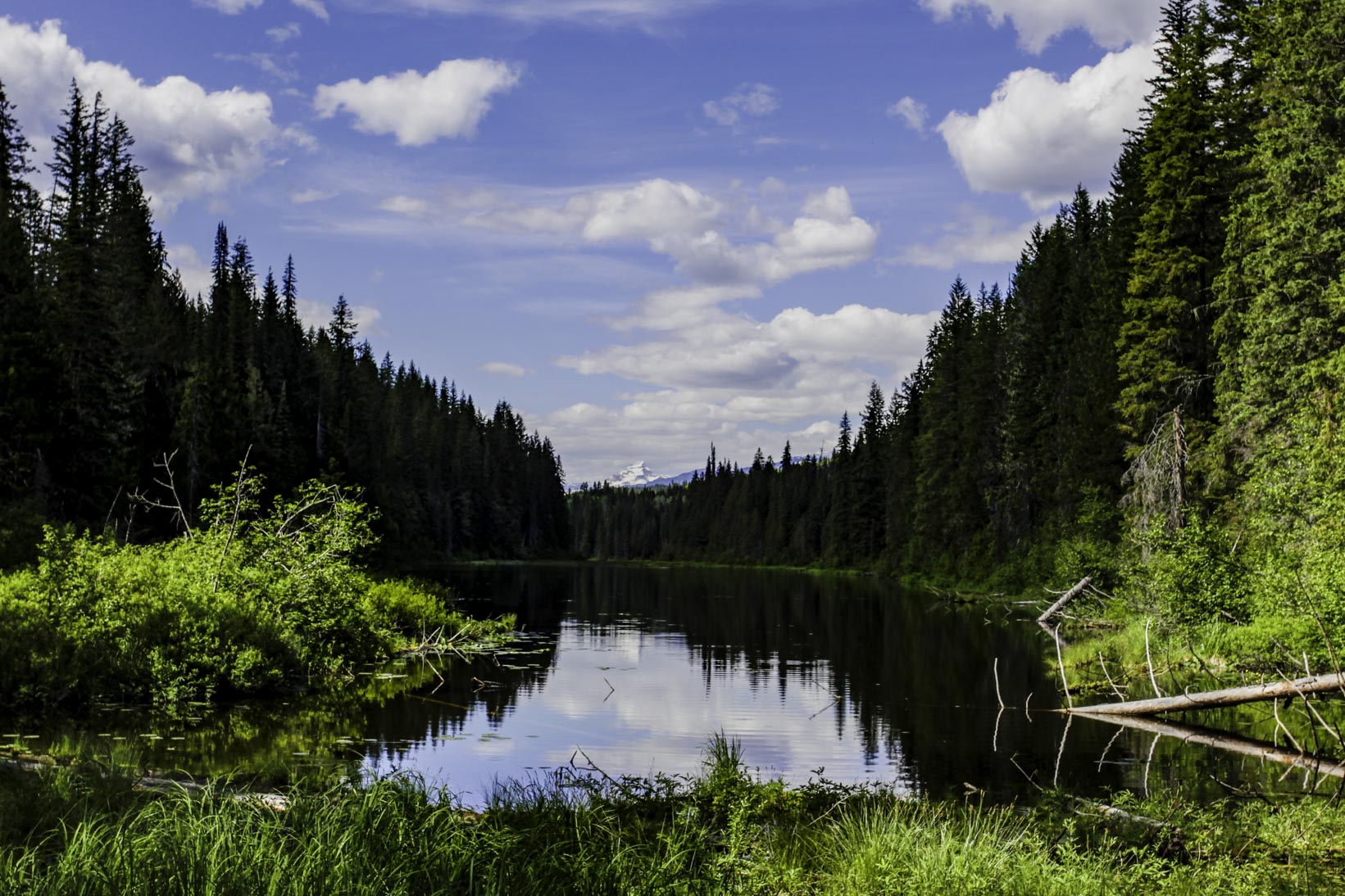 Stillwater, Central Okanagan and High Countr, British Columbia,