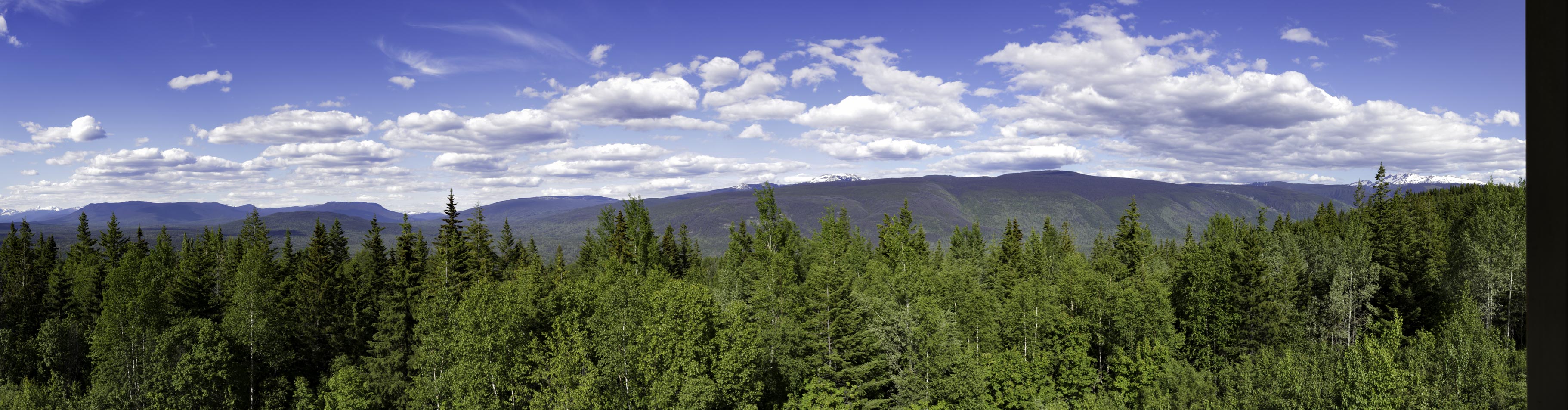 Stillwater, Central Okanagan and High Countr, British Columbia,