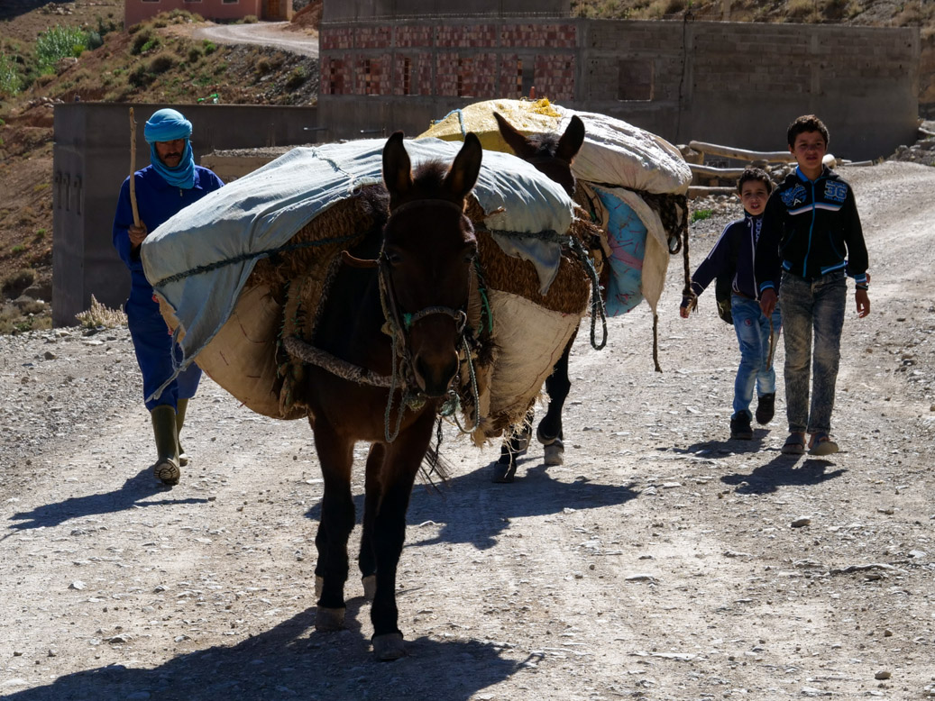 Drâa-Tafilalet, Imdiazene, MAR, Marokko