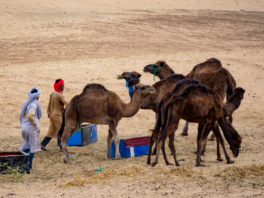 Hassilabied, MAR, Marokko, Meknès-Tafilalet