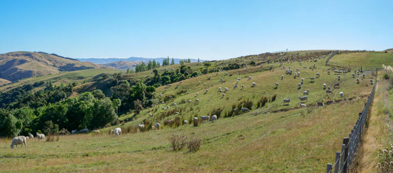 Hawke's Bay
