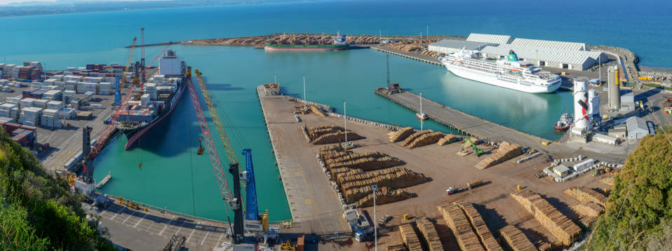 Ahuriri - Bluff Hill