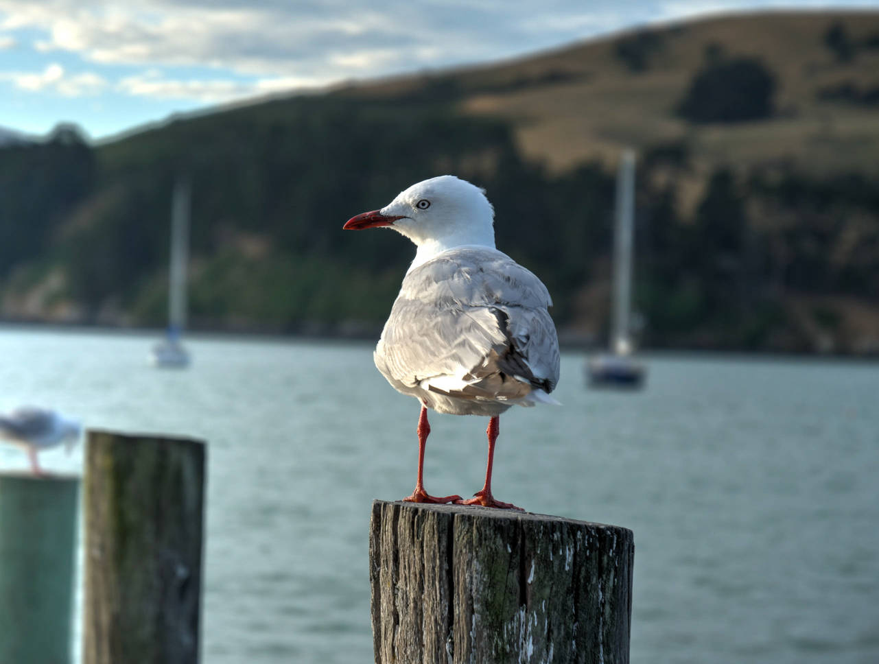 0041 PHHM5471 7 2 3 4 5 6