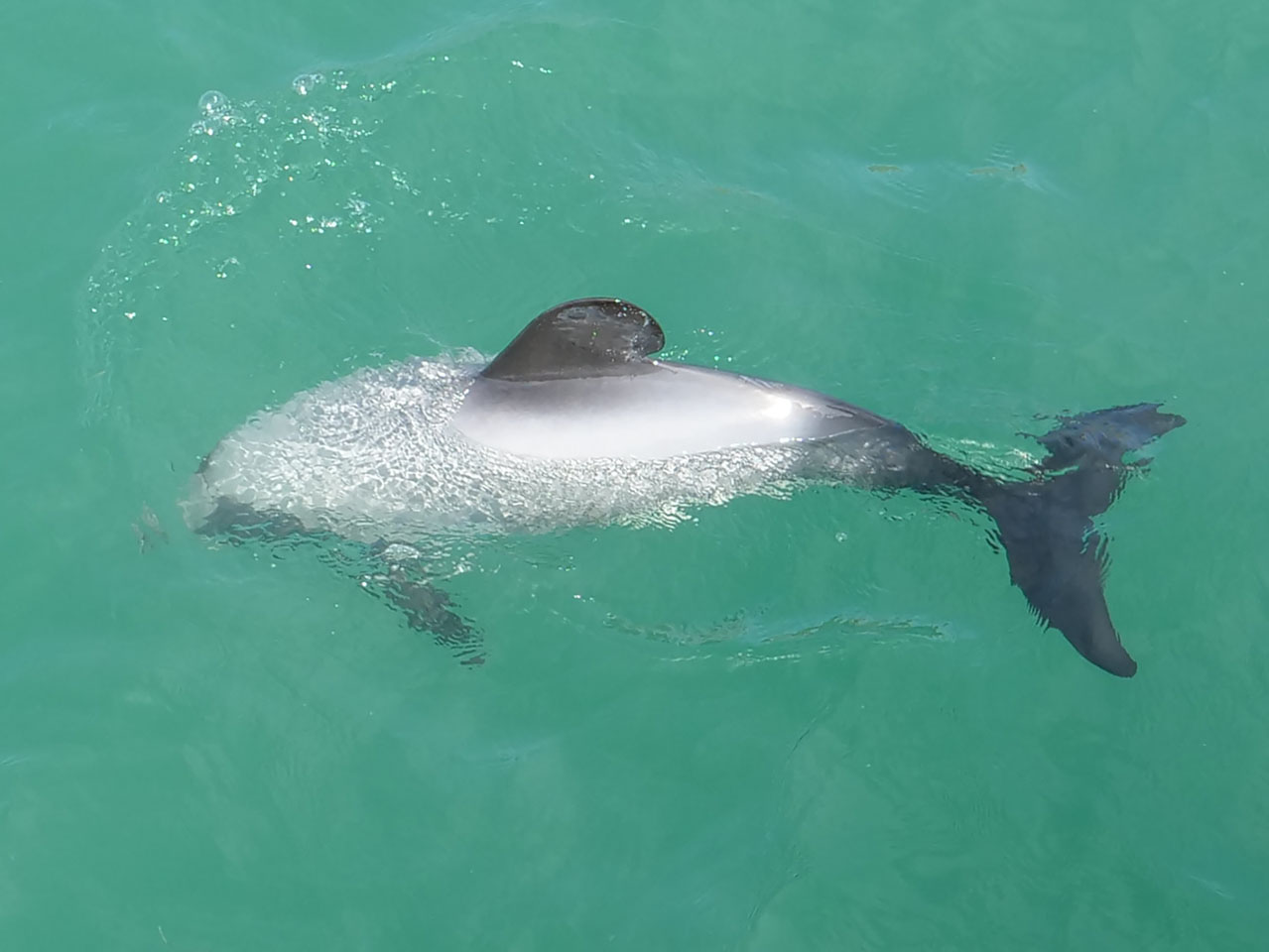 0080 PHHM5572 Bearbeitet