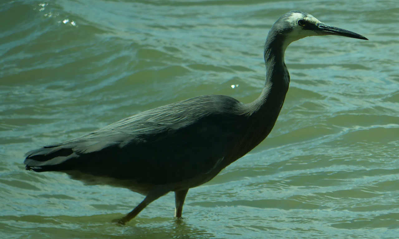 0299 PHHM6674 Bearbeitet