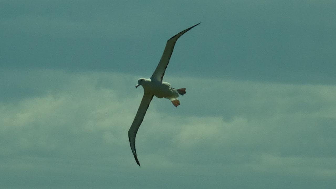 0317 PHHM6784 Bearbeitet