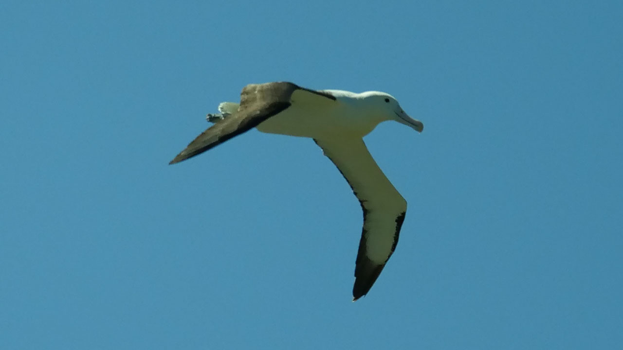 0334 PHHM7051 Bearbeitet