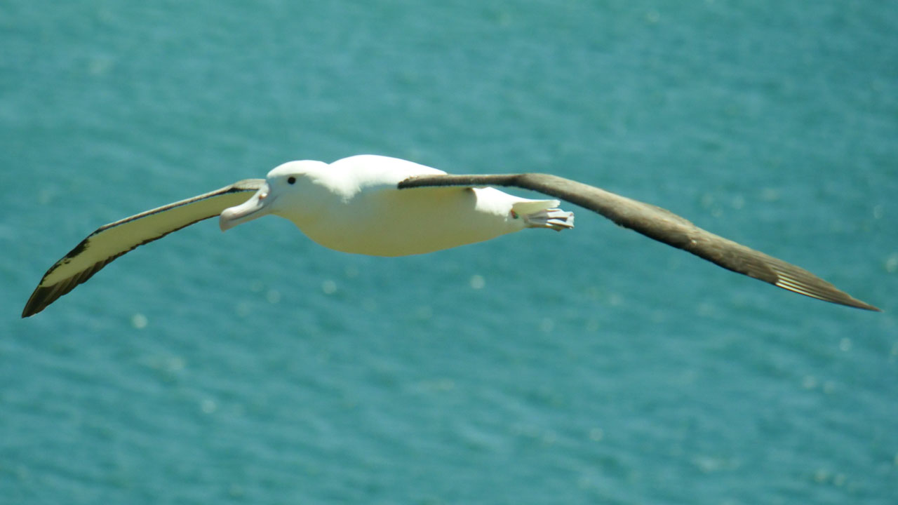 0339 PHHM7093 Bearbeitet