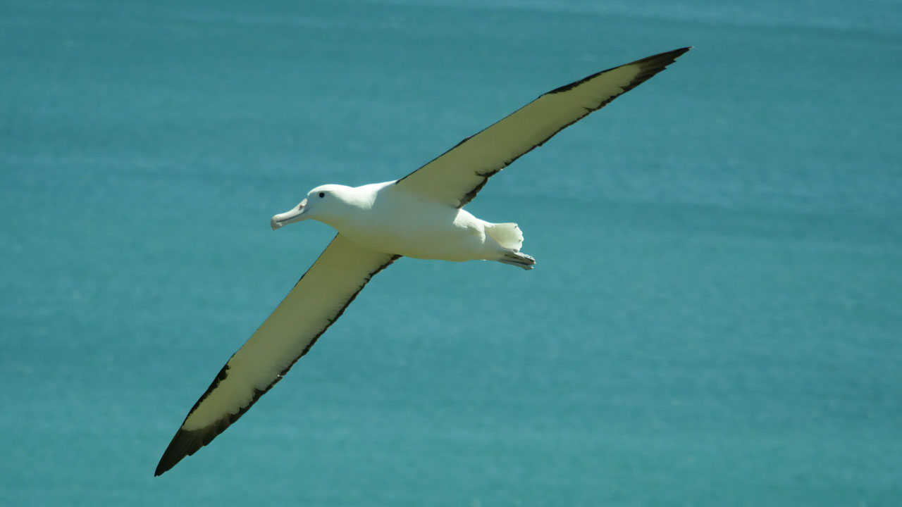 0351 PHHM7218 Bearbeitet