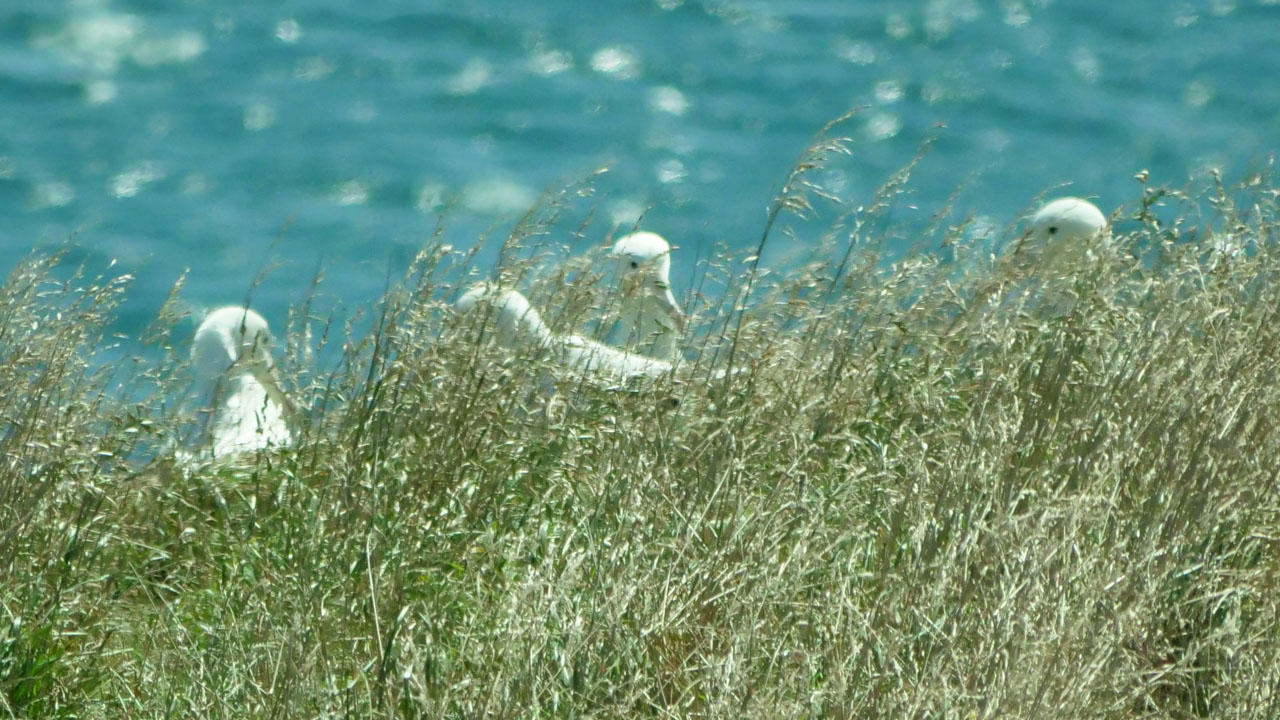 0360 PHHM7280 Bearbeitet