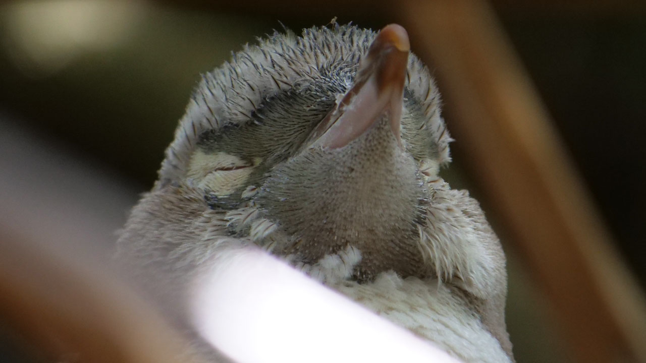 0370 PHHM7311 Bearbeitet