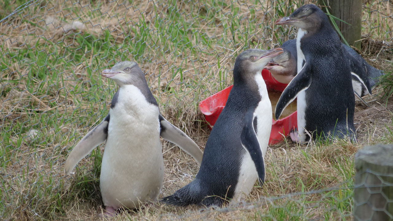 0376 PHHM7329 Bearbeitet