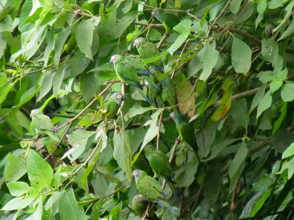 Süd- & Nordamerika 07-2017