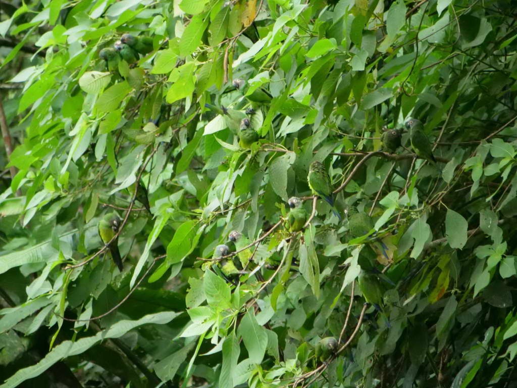 Süd- & Nordamerika 07-2017