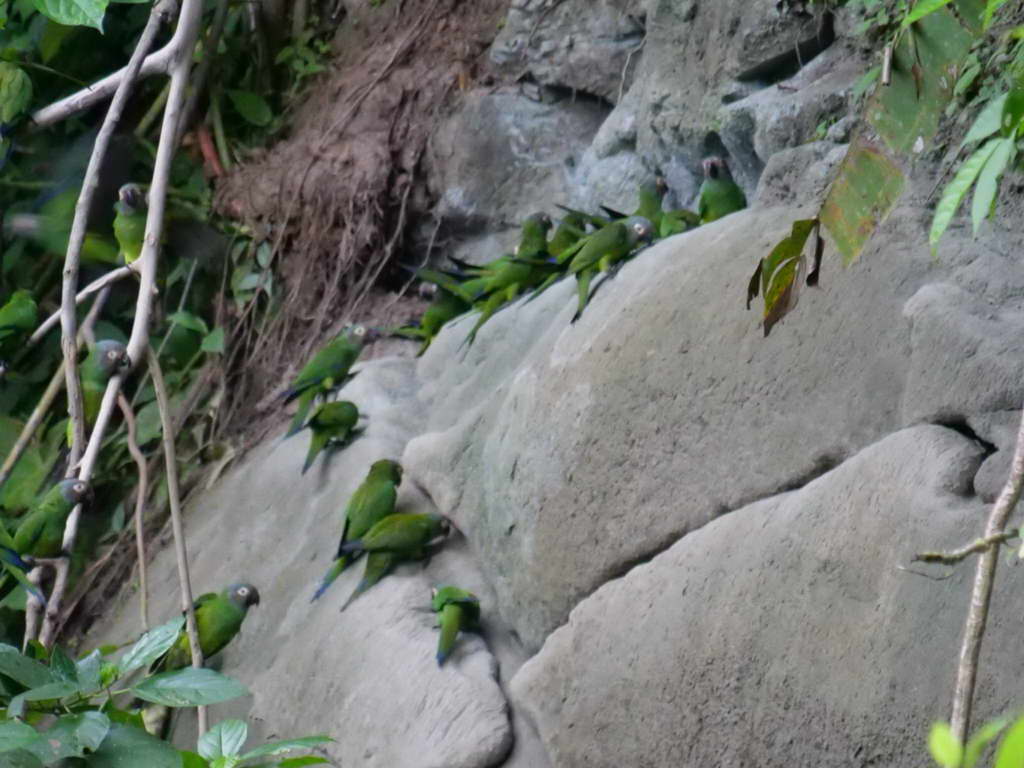 Süd- & Nordamerika 07-2017