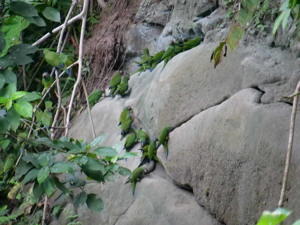 Süd- & Nordamerika 07-2017