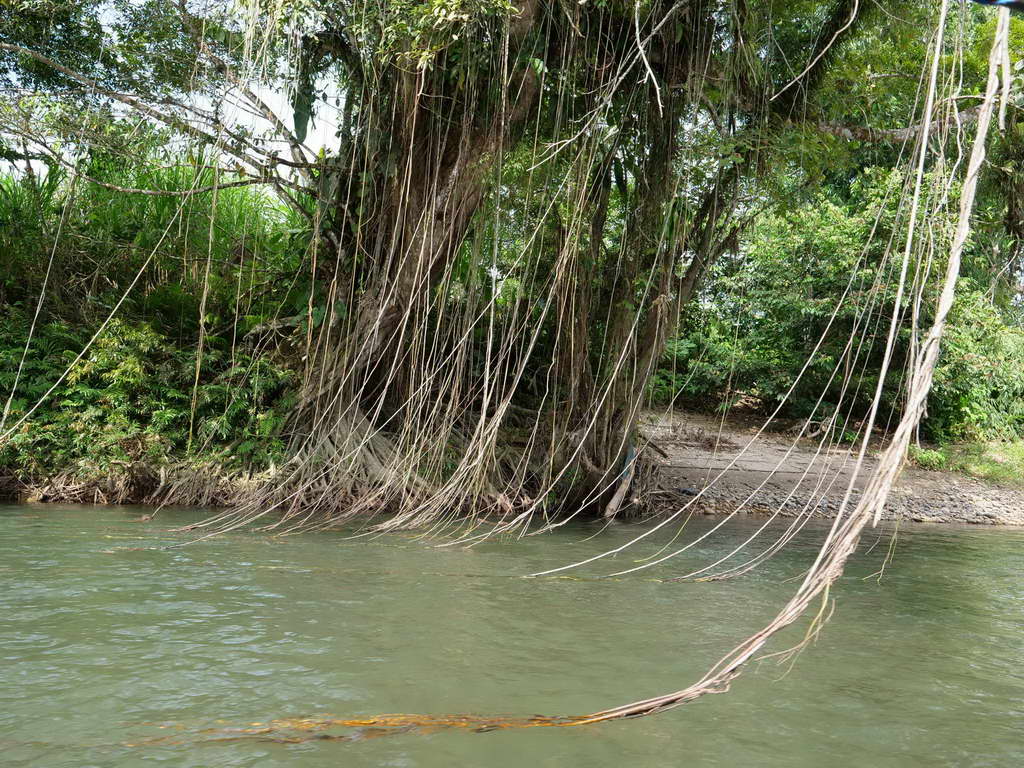 Süd- & Nordamerika 07-2017