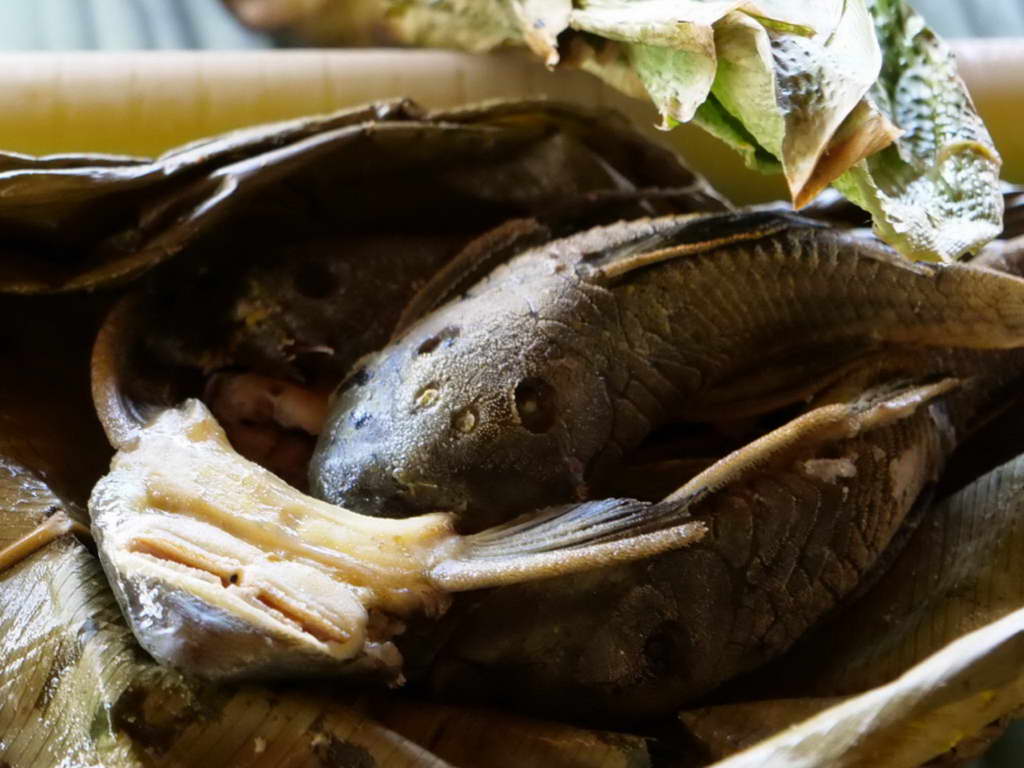 Süd- & Nordamerika 07-2017