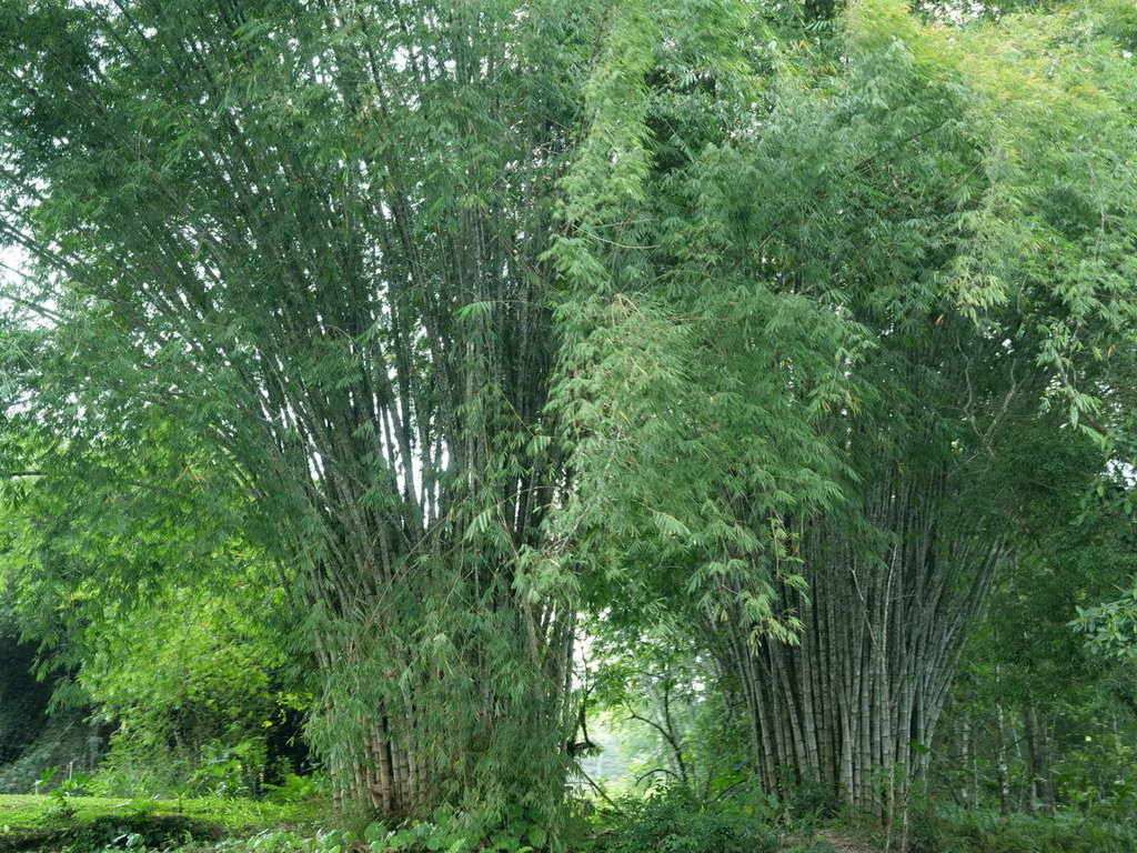 Süd- & Nordamerika 07-2017