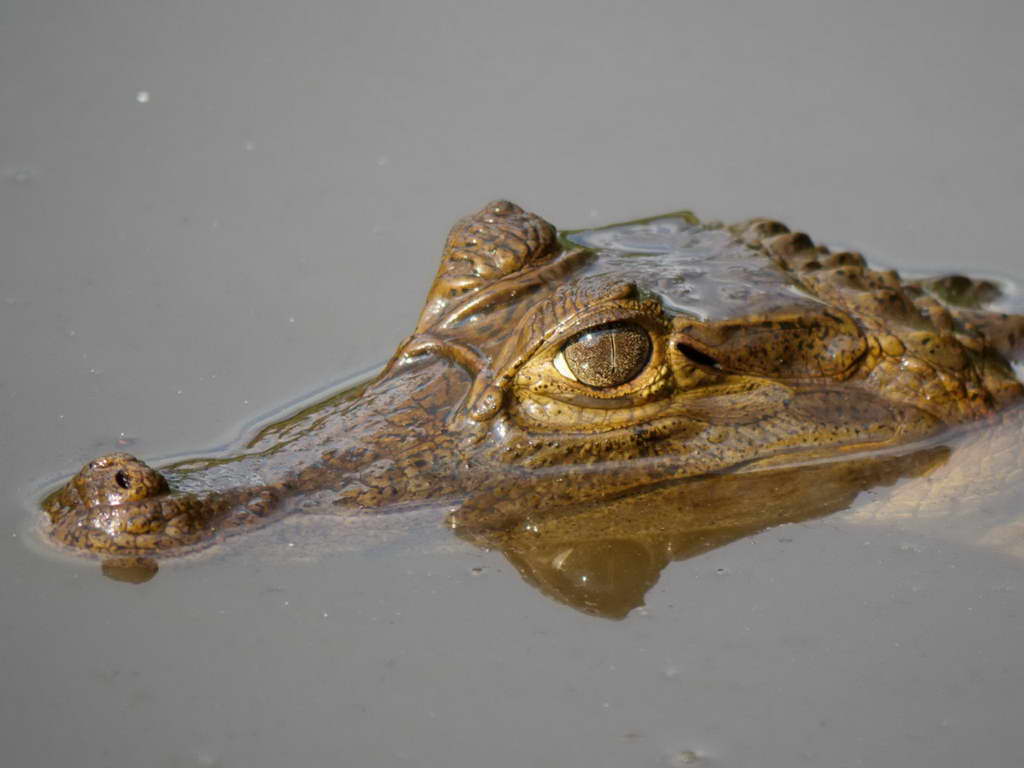 Süd- & Nordamerika 07-2017