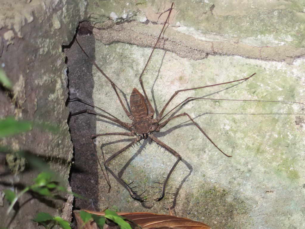 Süd- & Nordamerika 07-2017