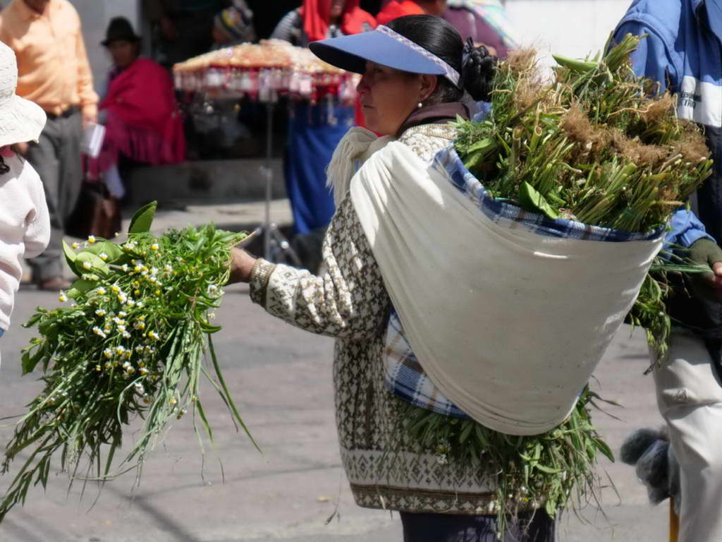 Süd- & Nordamerika 07-2017