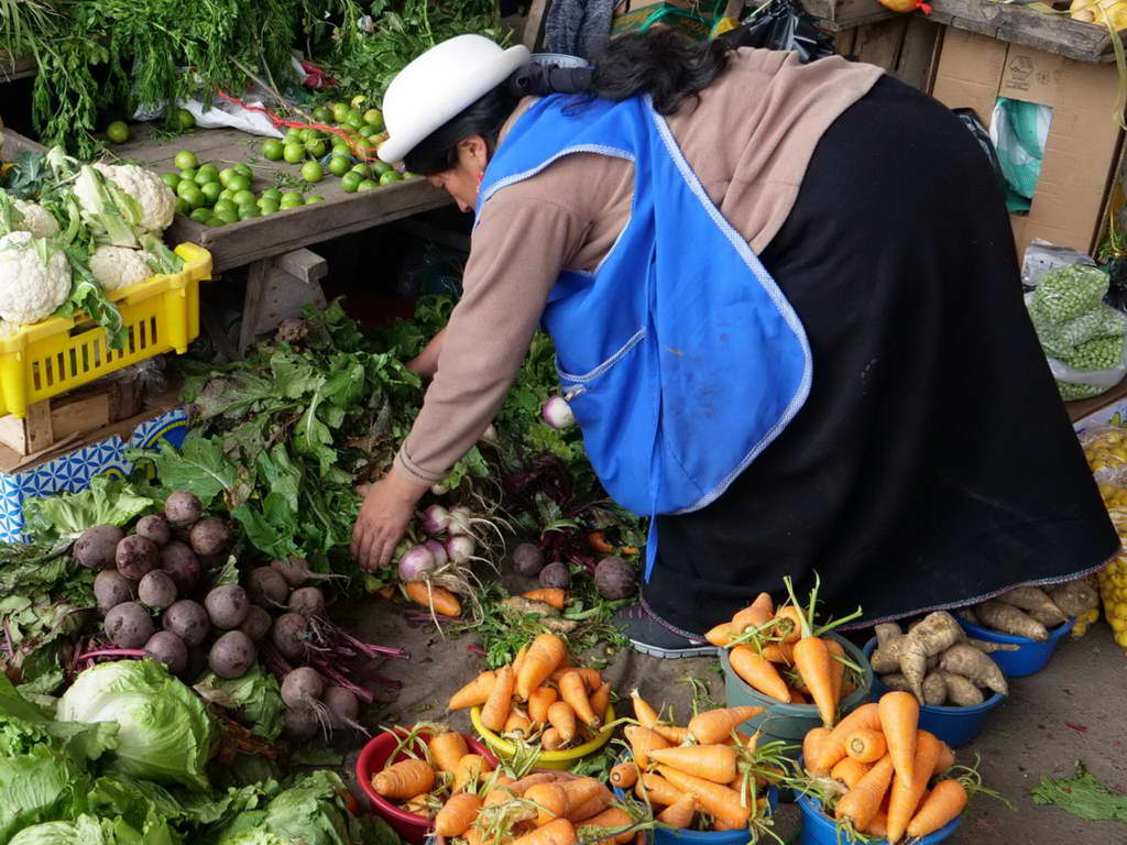 Süd- & Nordamerika 07-2017