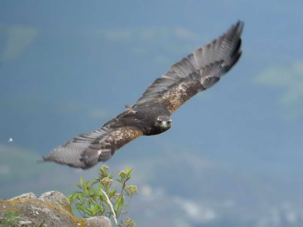 Süd- & Nordamerika 07-2017