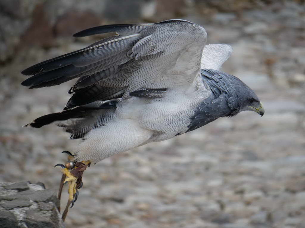 Süd- & Nordamerika 07-2017