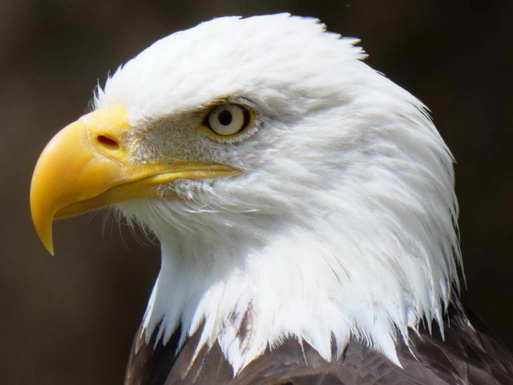 Süd- & Nordamerika 07-2017