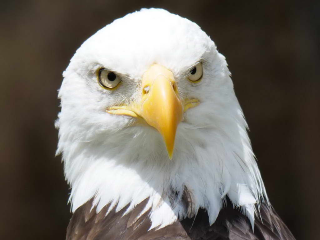 Süd- & Nordamerika 07-2017