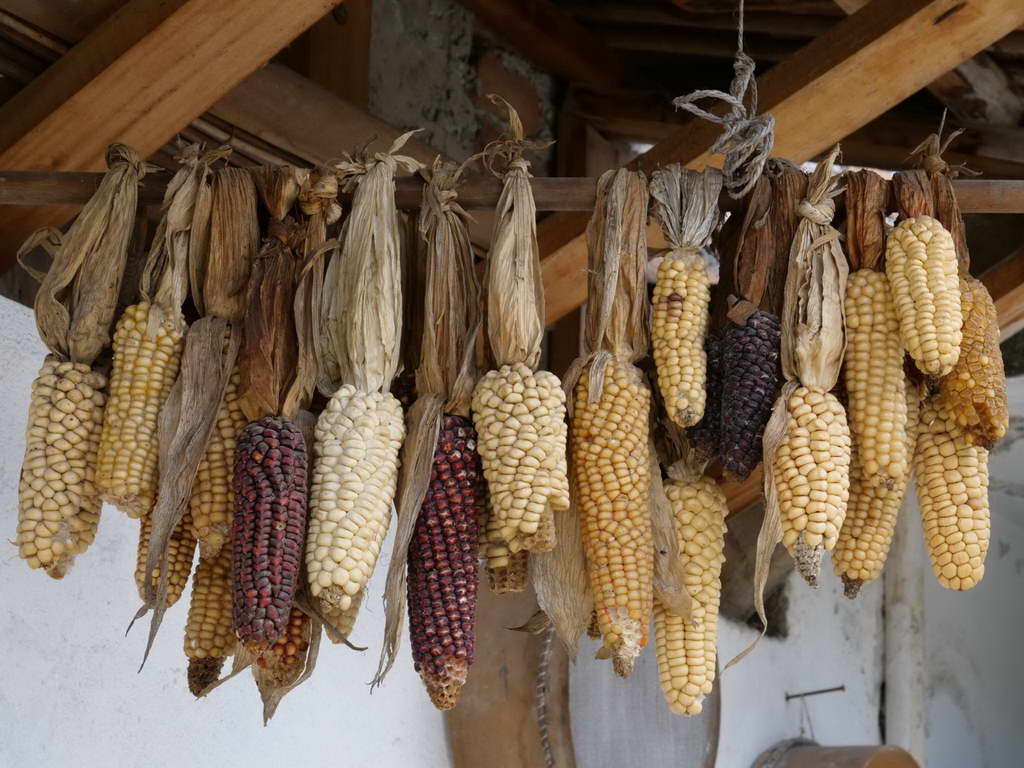 Süd- & Nordamerika 07-2017