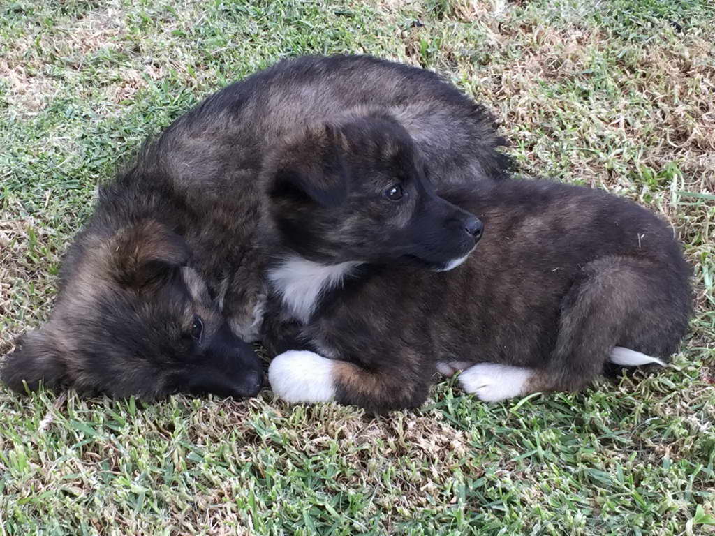 Süd- & Nordamerika 07-2017