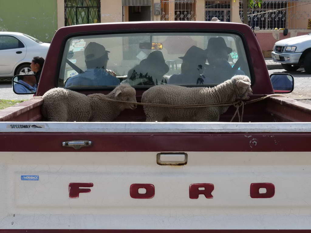 Süd- & Nordamerika 07-2017