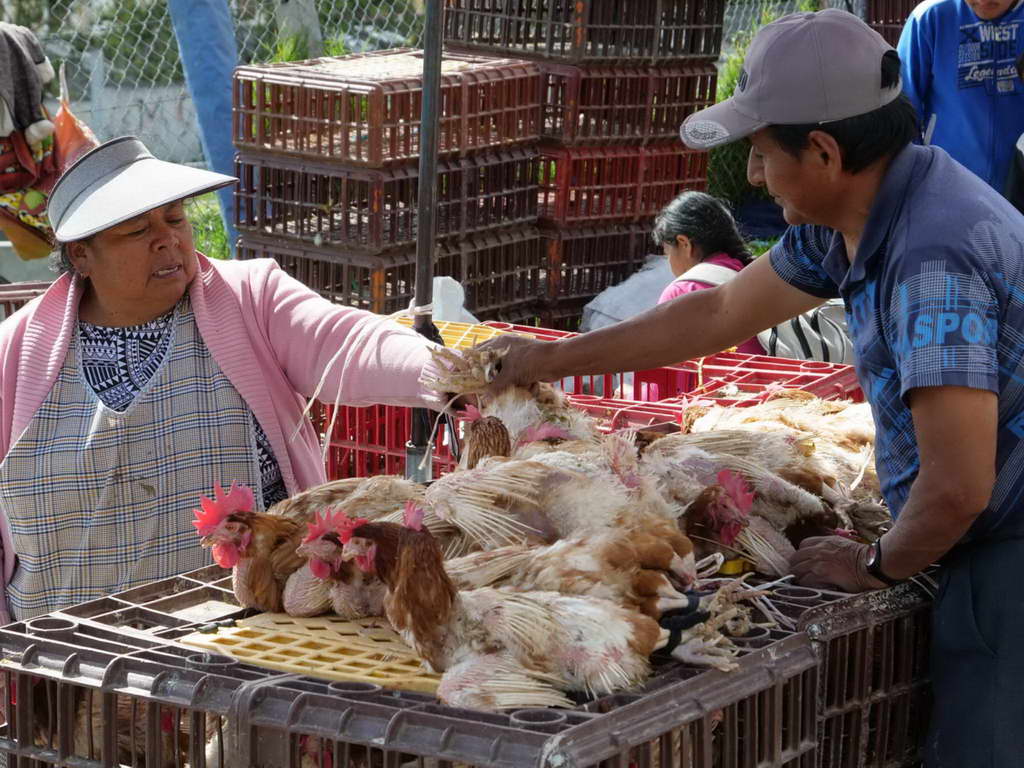 Süd- & Nordamerika 07-2017