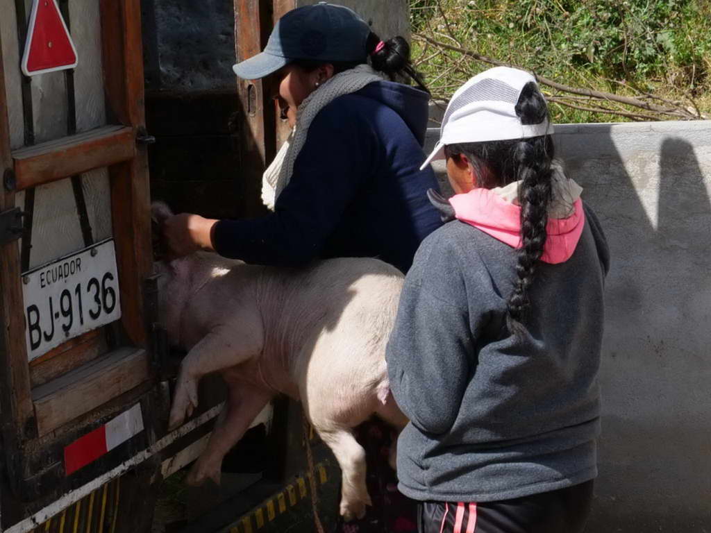 Süd- & Nordamerika 07-2017