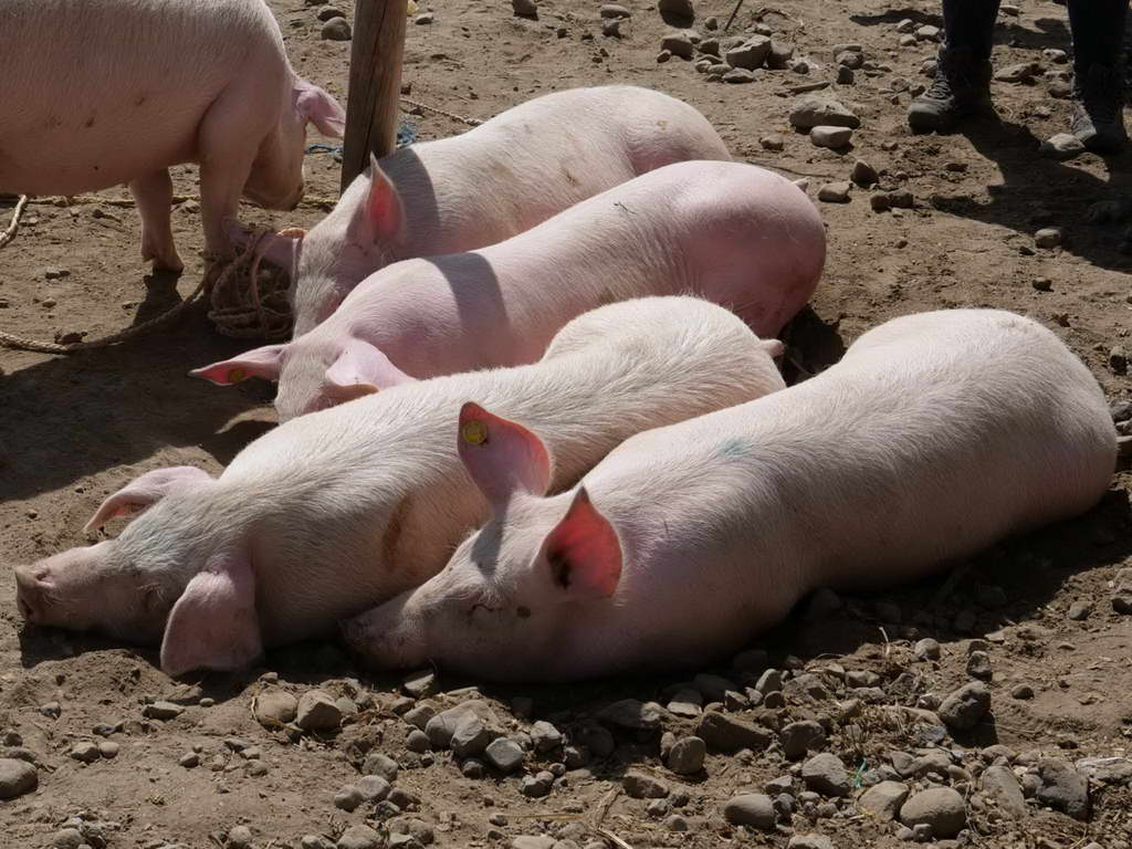 Süd- & Nordamerika 07-2017