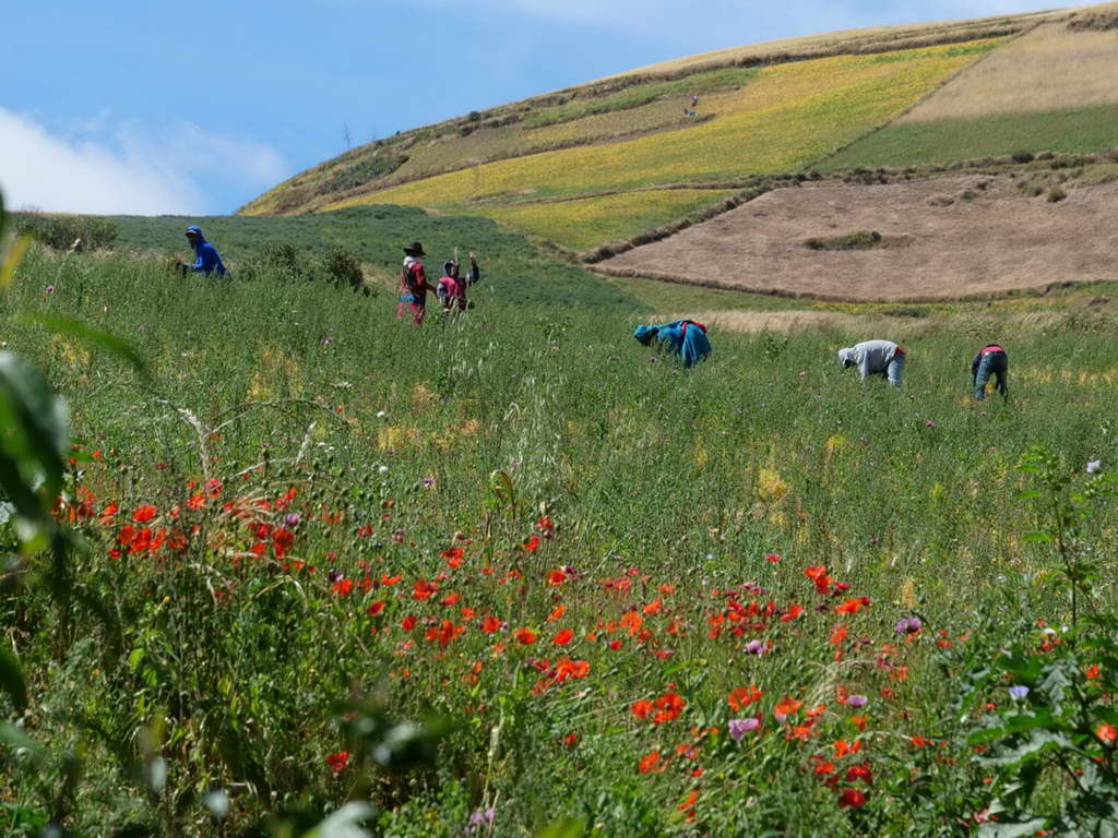 Süd- & Nordamerika 07-2017