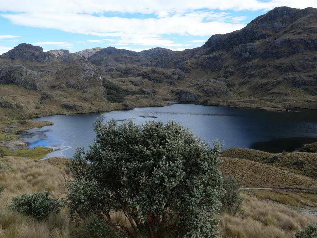 Süd- & Nordamerika 07-2017