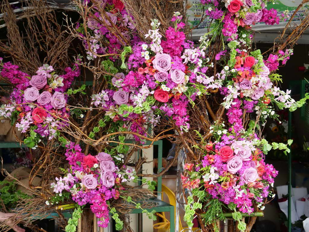 Süd- & Nordamerika 07-2017