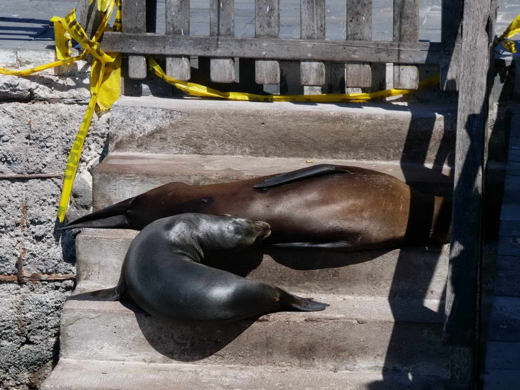 Süd- & Nordamerika 07-2017