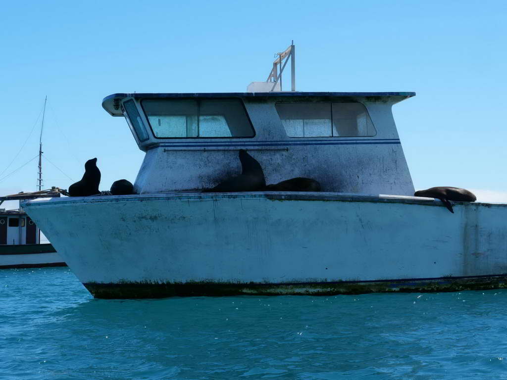 Süd- & Nordamerika 07-2017